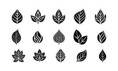 Beyaz arkaplanda bırakılan vektör