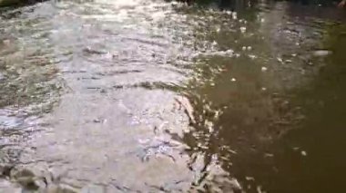 Mevsimlerde nehir yüzeyine yağmur damlaları düşer