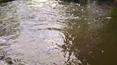 Su dağlardan akar ve küçük şelaleler ve balıklar oluşturur.