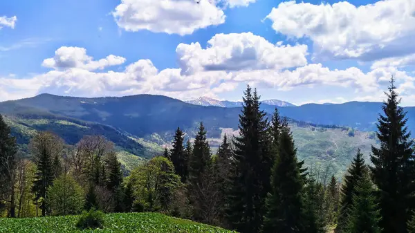 Rolling Hills ve Snowy Peaks: Nefes kesici Manzara