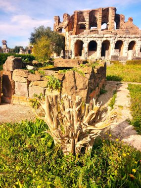 Kazılar ve antik şehrin amfitiyatrosunun parçaları.