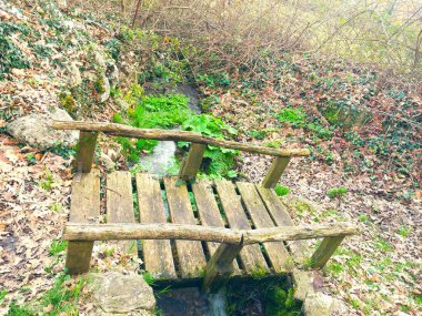 Ormanın içinde bir nehir üzerinde ahşap köprü