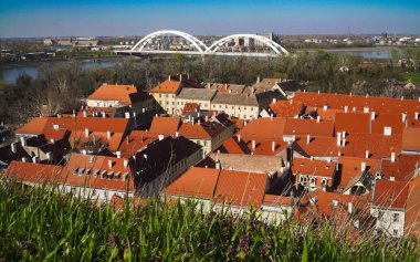 Sırbistan 'ın Voyvodina kentindeki Panorama