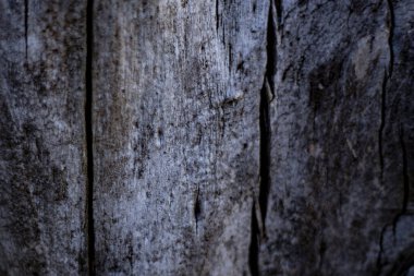 Eski ahşap desenli, kahverengi yeşil tonda doğal ahşap arka plan.