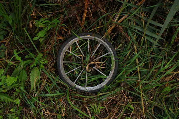 Çimlerin üzerinde bir çocuk arabasının eski tekerleği..