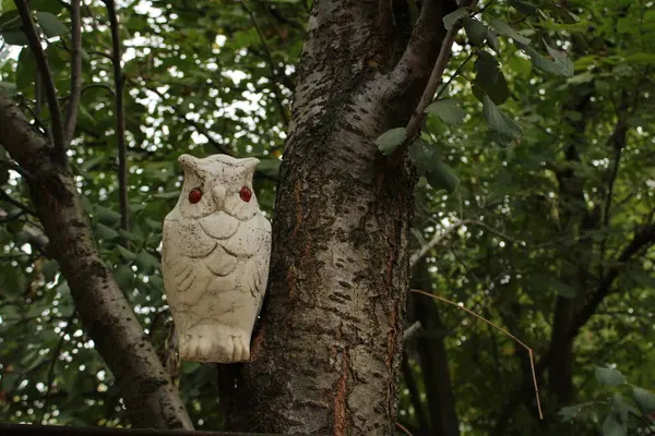 Bir ağaca konmuş seramik baykuş büyüleyici görünüyor ve çevreye renk katıyor.