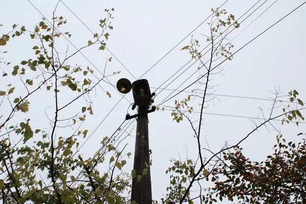 Sokak lambası belirgin bir şekilde gri gökyüzüne karşı duruyor.