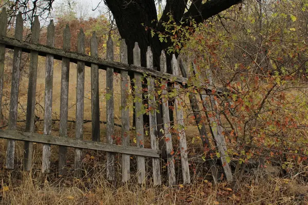 Ahşap çit eğilmiş, yorgun ve yaşlı görünüyor. Tahtalarında yıpranma, çatlaklar ve zaman izleri var..
