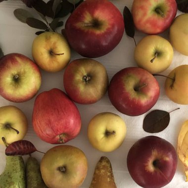 Taze elmalar ve armutlar sepette yapraklar