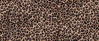 Leopar deseni kusursuz desen.