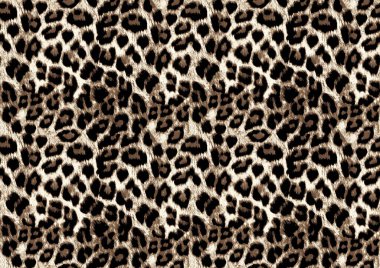 Leopar derisinin kusursuz arkaplanı