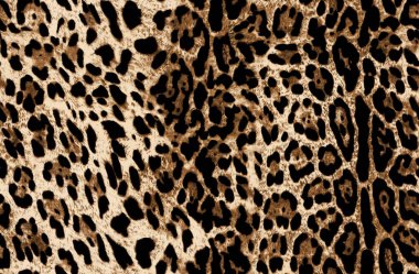 Leopar derisi pürüzsüz desen. vektör illüstrasyonu