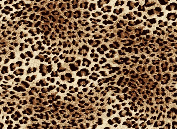 Leopar derisi. pürüzsüz cilt