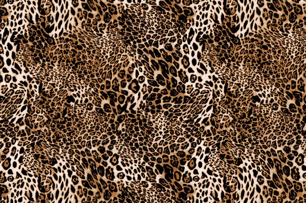 Leopar deri doku deseninin