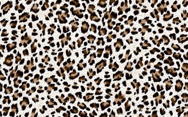 leopar teni dokusu arkaplanı