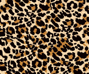 Leopar derili bir hayvan izi.