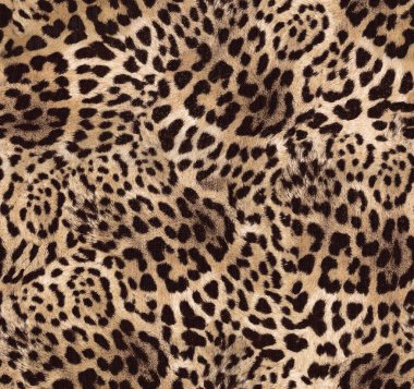 Leopar deri sorunsuz doku