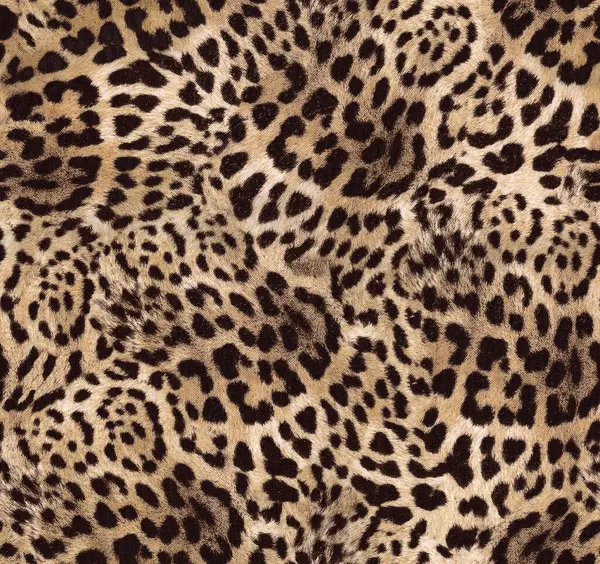 Leopar deri sorunsuz doku