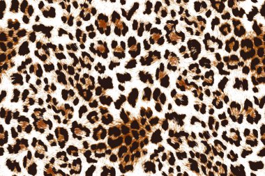 Leopar deseni, hayvan derisi arkaplanı.