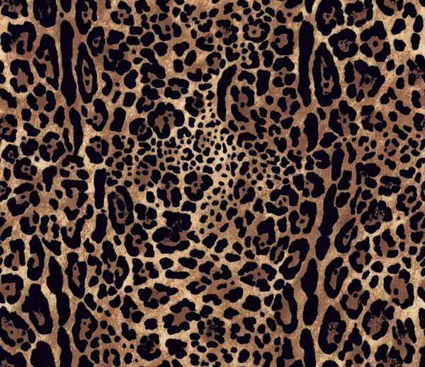 Leopar desensiz. Hayvan izi. hayvan derisi