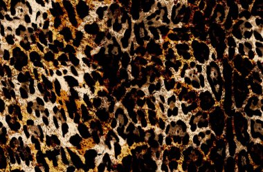 Leopar deseni, hayvan derisi.