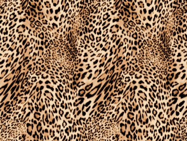 Leopar derisi. vektör illüstrasyonu.