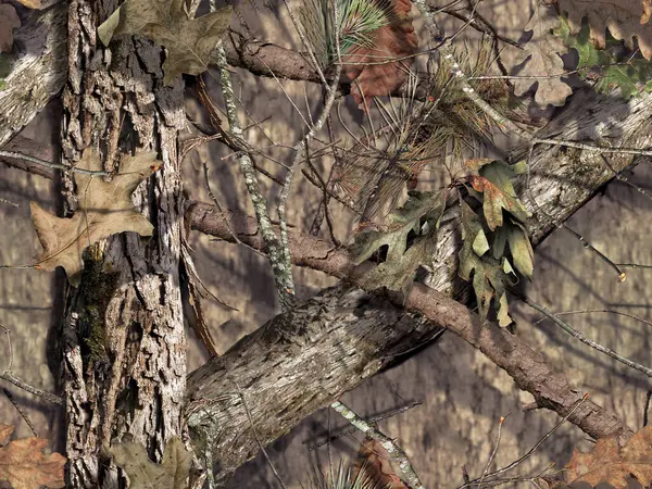 Ağaç dalları, bitki örtüsü ve yapraklar.