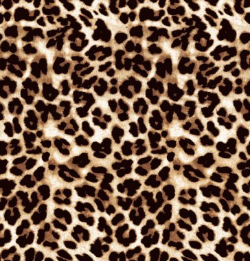 Leopar deri desen arka plan