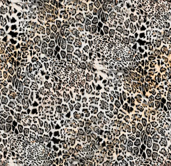 Leopar deseni, leopar deseni, vektör illüstrasyonu