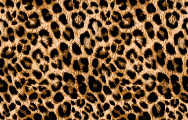 Leopar desensiz vahşi moda; Shutterstock ID 1420384580; Proje Adı: -