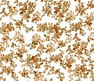 Beyaz Arkaplanda Kurumuş Çiçekler