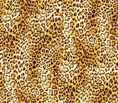 Leopar derisi pürüzsüz. Leopar geçmişi. Hayvan izi. vektör illüstrasyonu.