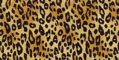 Kusursuz leopar deseni, hayvan kürkü izi.
