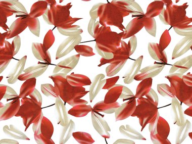 Beyaz arka planda suluboya kırmızı yapraklı kusursuz desen. el çizimi resimleme