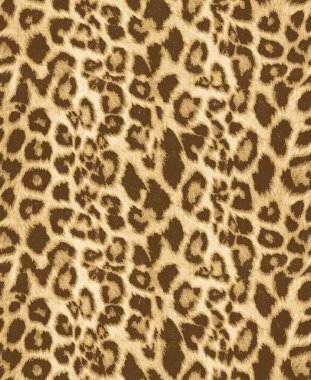 Leopar deseni. Kusursuz hayvan derisi