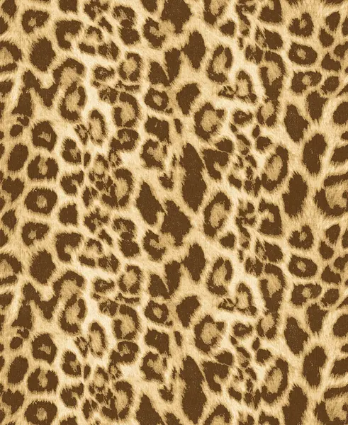 Leopar kürkü dokusu. Kusursuz desen.
