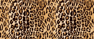 Kusursuz leopar derisi dokusu. Vektör illüstrasyonu.