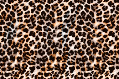 Siyah leopar derisi deseni. Kusursuz hayvan izi.