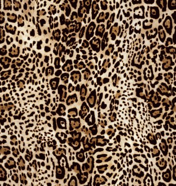 Leopar kürkü dokusu. arkaplan
