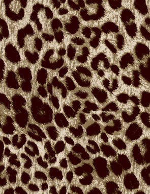 Leopar kürkü deseni. Leopar deseni. leopar deseni.