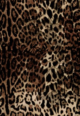 Leopar desenli iz. Hayvan geçmişi. Kusursuz