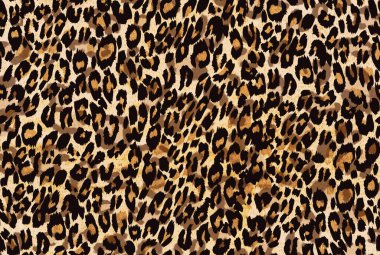Sorunsuz doku Leopar deri