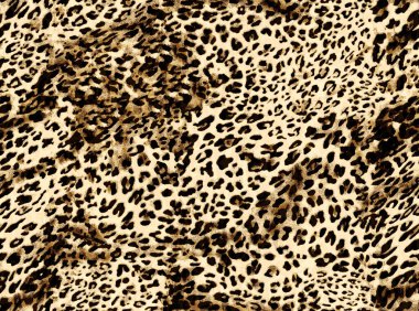 Leopar deseni. hayvan izi.