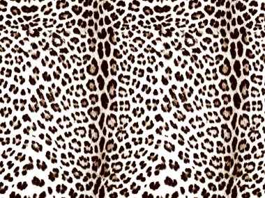 Leopar deseni. leopar deseni.