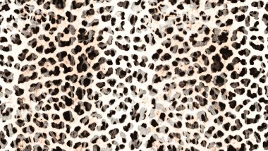 Leopar derisi dokusu. leopar deseni