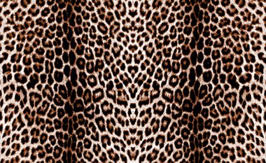 Leopar deri desen doku