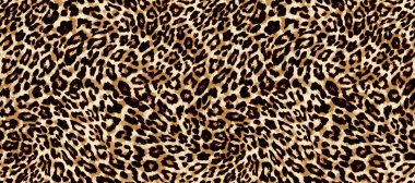 Kusursuz leopar deri dokusu