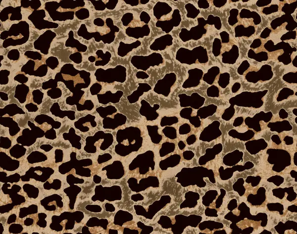 Leopar desenli arka plan. vektör illüstrasyonu