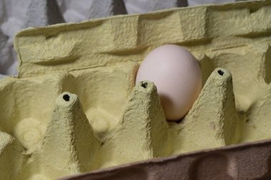 İçinde tek bir yumurta olan geri dönüşümlü malzemeden yapılmış canlı sarı yumurta kutusunun yakın çekimi. Geri dönüşüm pratik ve ekolojik ambalaj üretebilir.