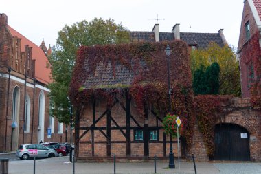 Gdansk, Polonya - 3.11.2024: Rajska Caddesi 'ndeki eski tuğla ev, Old Town Gdansk. Ateşli kırmızı sarmaşıkların altında saklı, sonbahar atmosferi yayıyor..